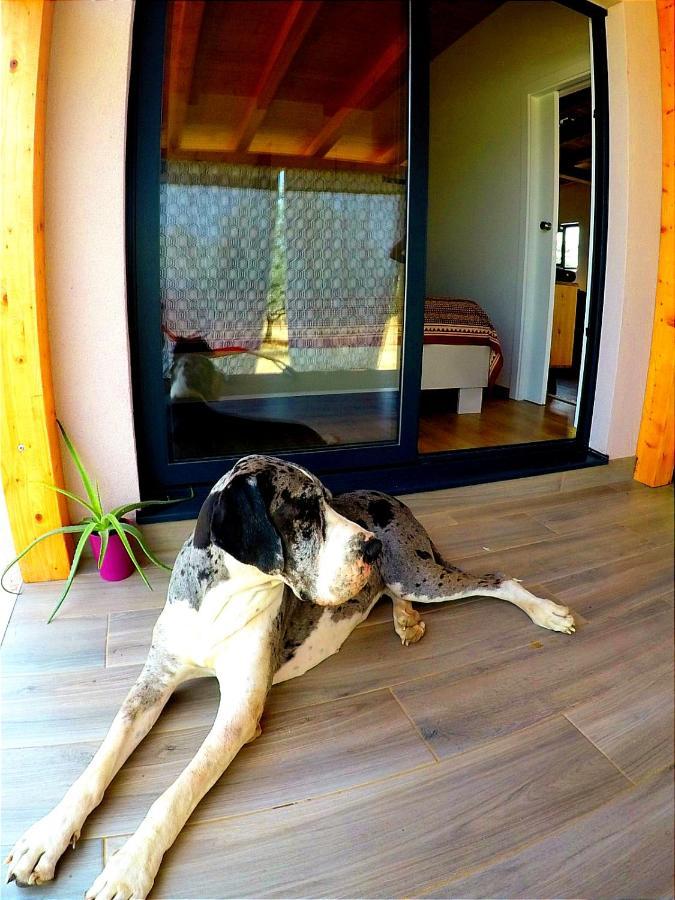 Nature Home Eco-Friendly Pet-Friendly Fažana Exterior foto